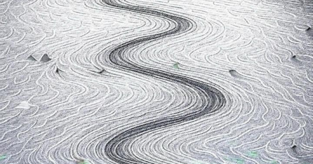 আলেয়ার জীবন-নদীর বাঁকে